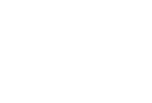 Evershine Group