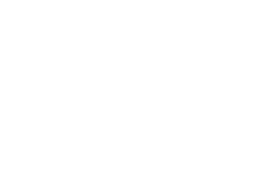Evershine Group